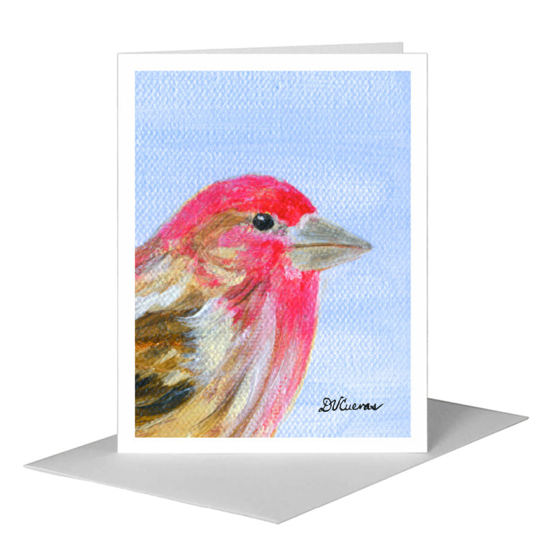 Cassin's Finch, Greeting Card (#8323C), A2 Card Front, www.printedcanvas.com