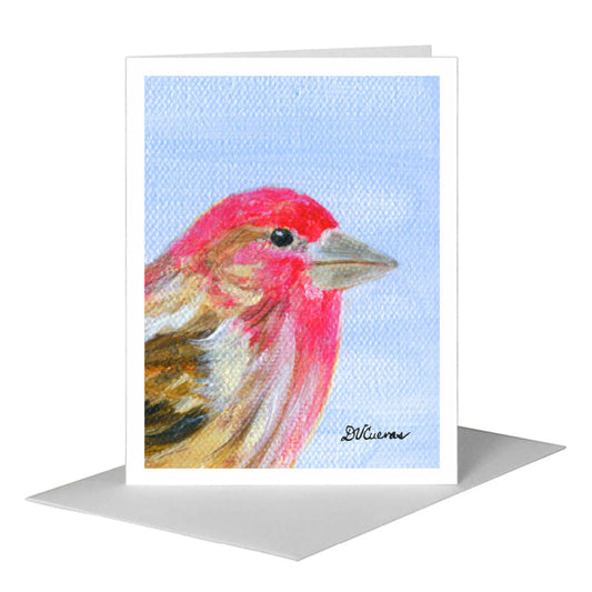 Cassin's Finch, Greeting Card (#8323C) A2 Card Front, www.printedcanvas.com