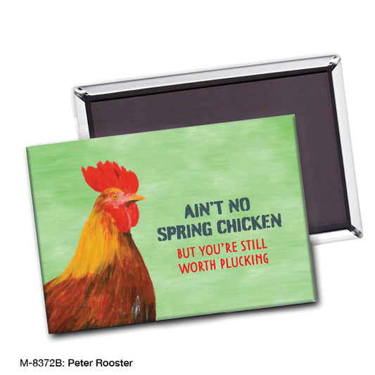 Peter Rooster, Magnet (M-8372B)