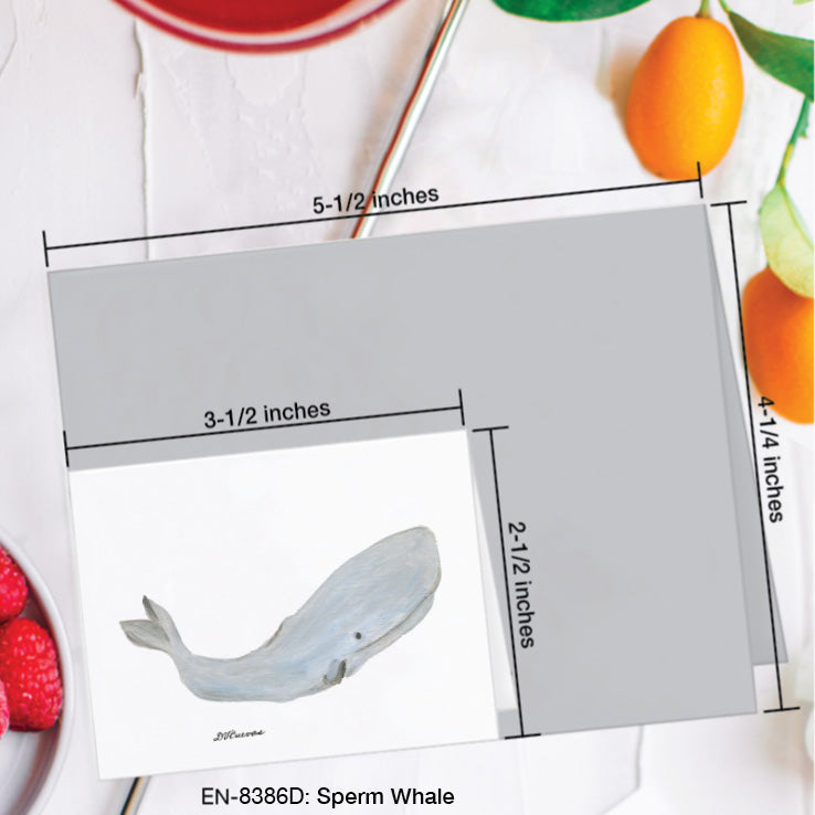 Sperm Whale, Greeting Card (8386D), Enclosure Card, www.printedcanvas.com