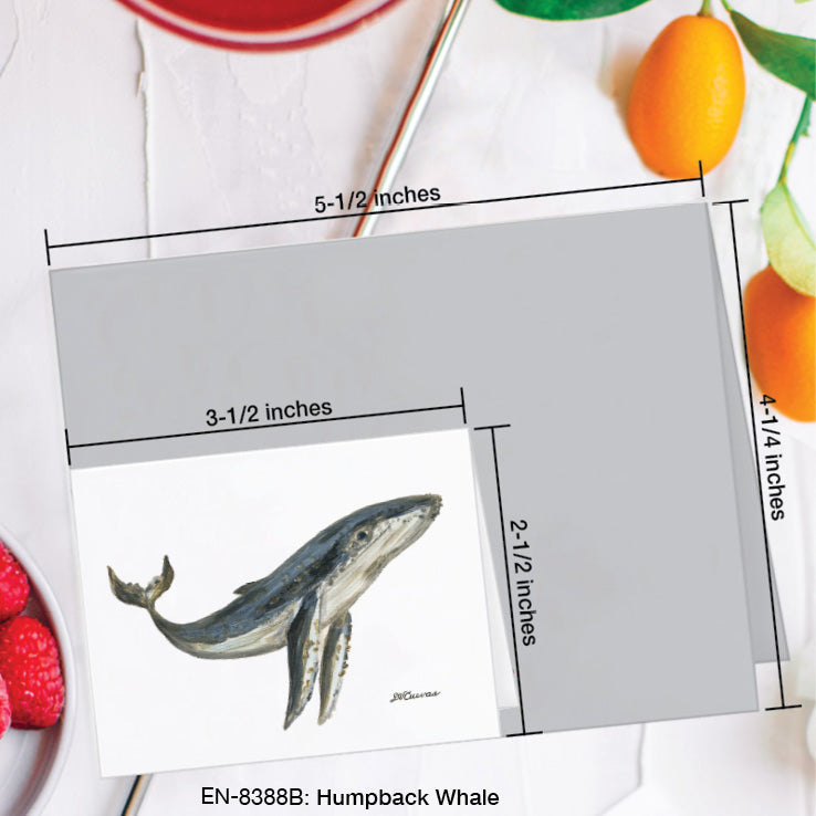 Humpback Whale, Greeting Card (8388B), Enclosure Card, www.printedcanvas.com