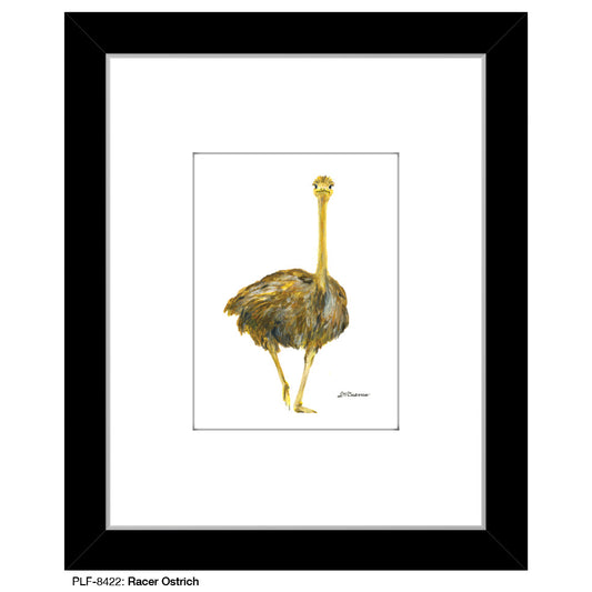 Racer Ostrich, Print (#8422)
