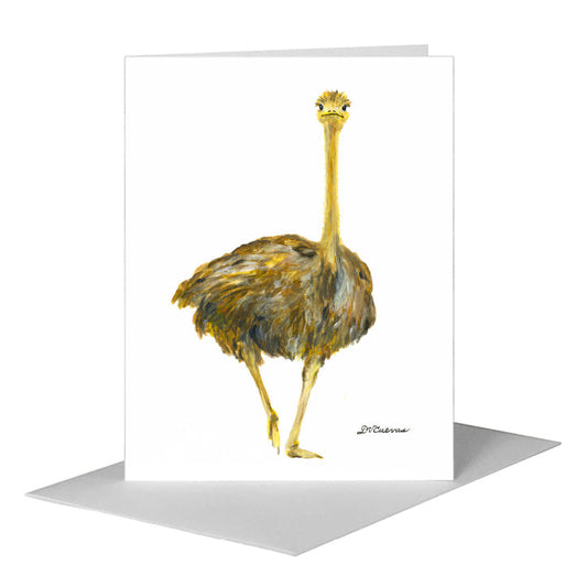 Racer Ostrich, Greeting Card (#8422A) A2 Card Front, www.printedcanvas.com