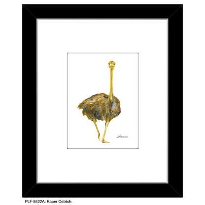 Racer Ostrich, Print (#8422A)
