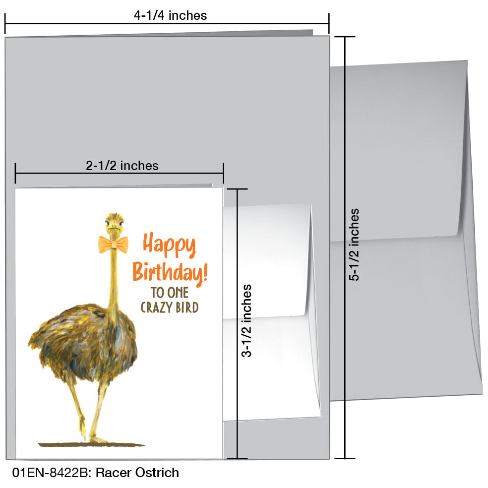 Racer Ostrich, Greeting Card (8422B), Enclosure, printedcanvas.com