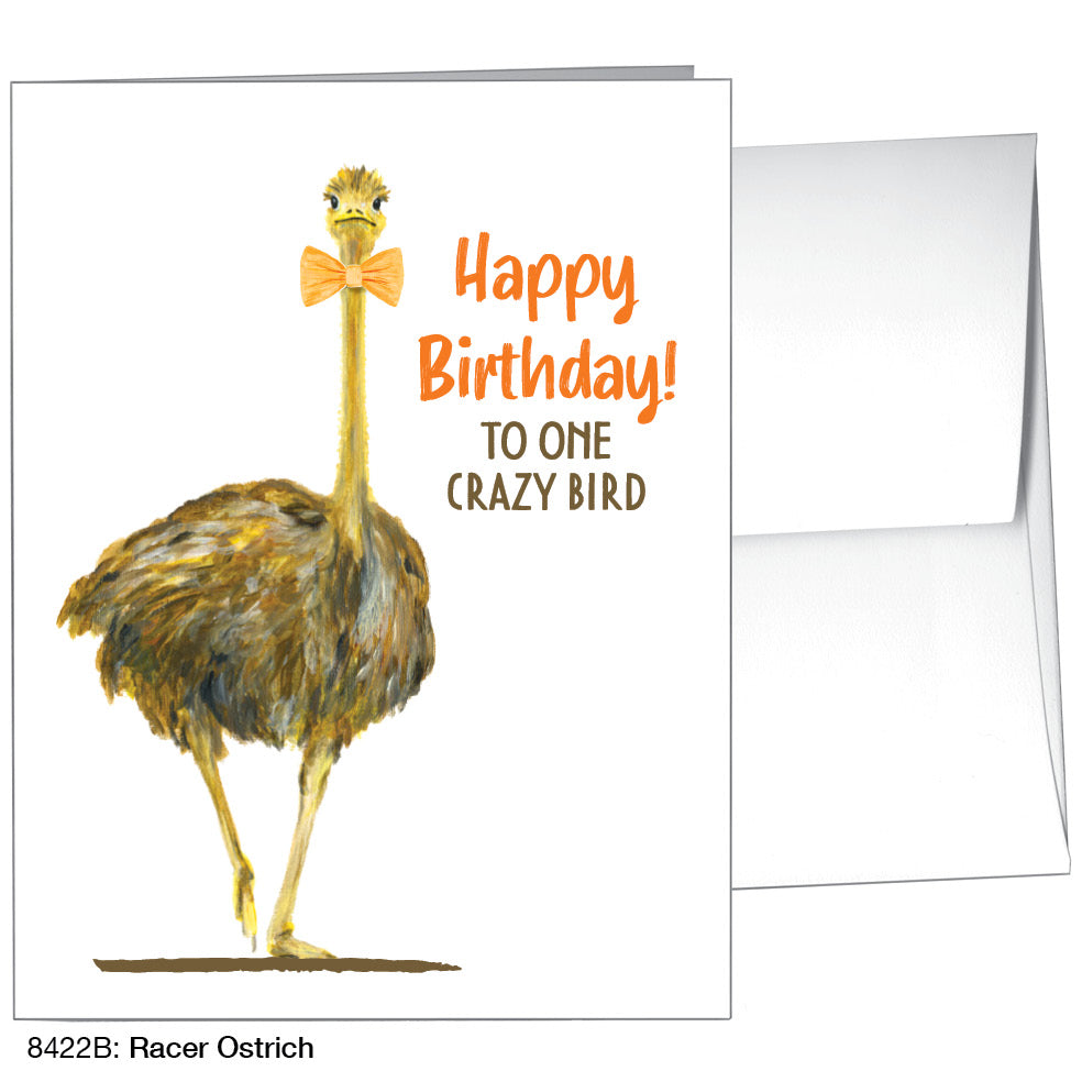 Racer Ostrich, Greeting Card (8422B), A2, printedcanvas.com