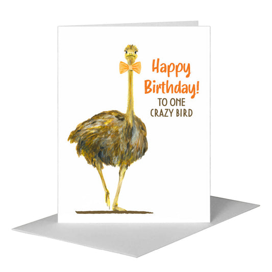 Racer Ostrich, Greeting Card (#8422B) A2 Card Front, www.printedcanvas.com