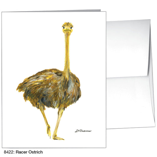 Racer Ostrich, Greeting Card (8422A), A2 Card Front, www.printedcanvas.com
