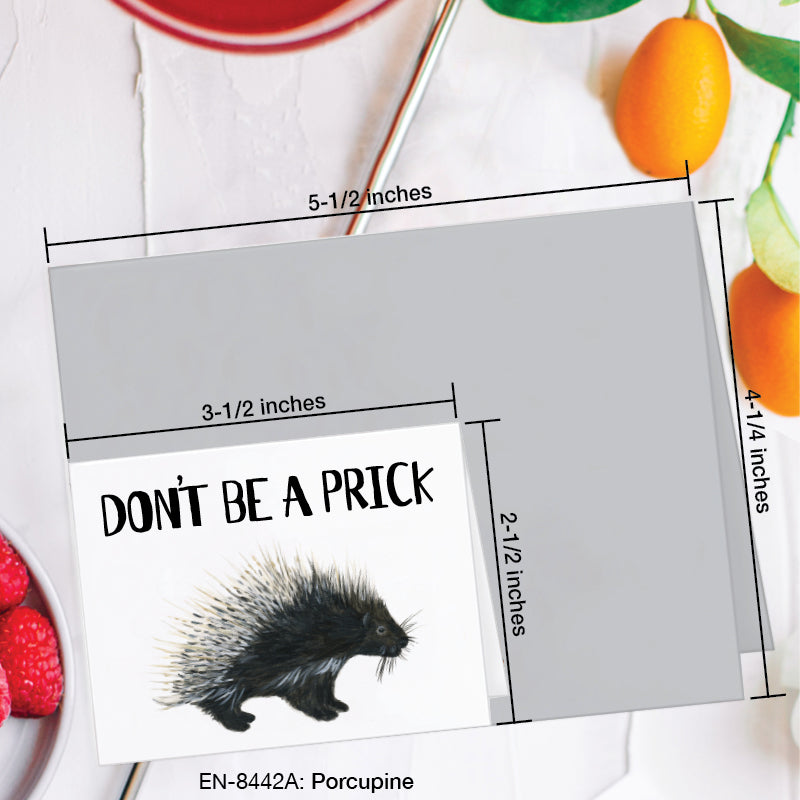 Porcupine, Greeting Card (8442A), Enclosure, www.printedcanvas.com