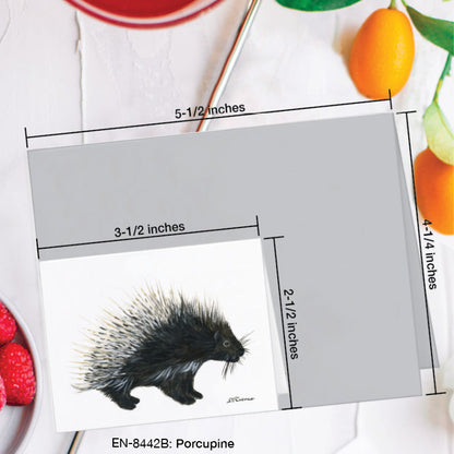Porcupine, Greeting Card (8442B), Enclosure Card, www.printedcanvas.com