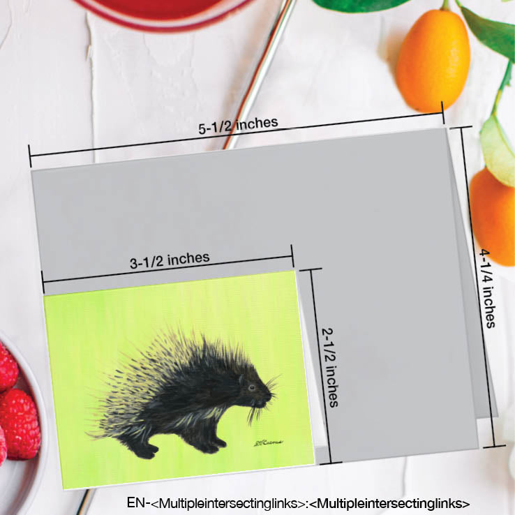 Porcupine, Greeting Card (#8442F), Enclosure Card, www.printedcanvas.com