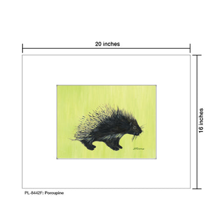 Porcupine, Print (#8442F)