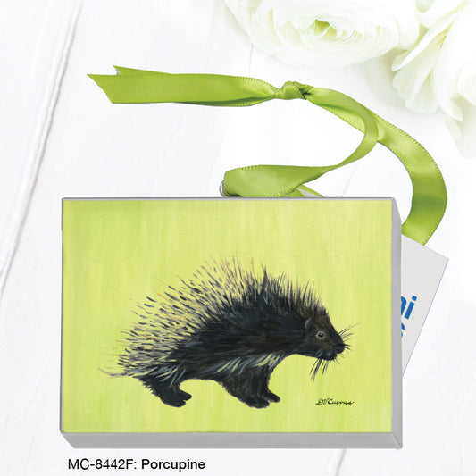 Porcupine, Mini Canvas (MC-8442F)