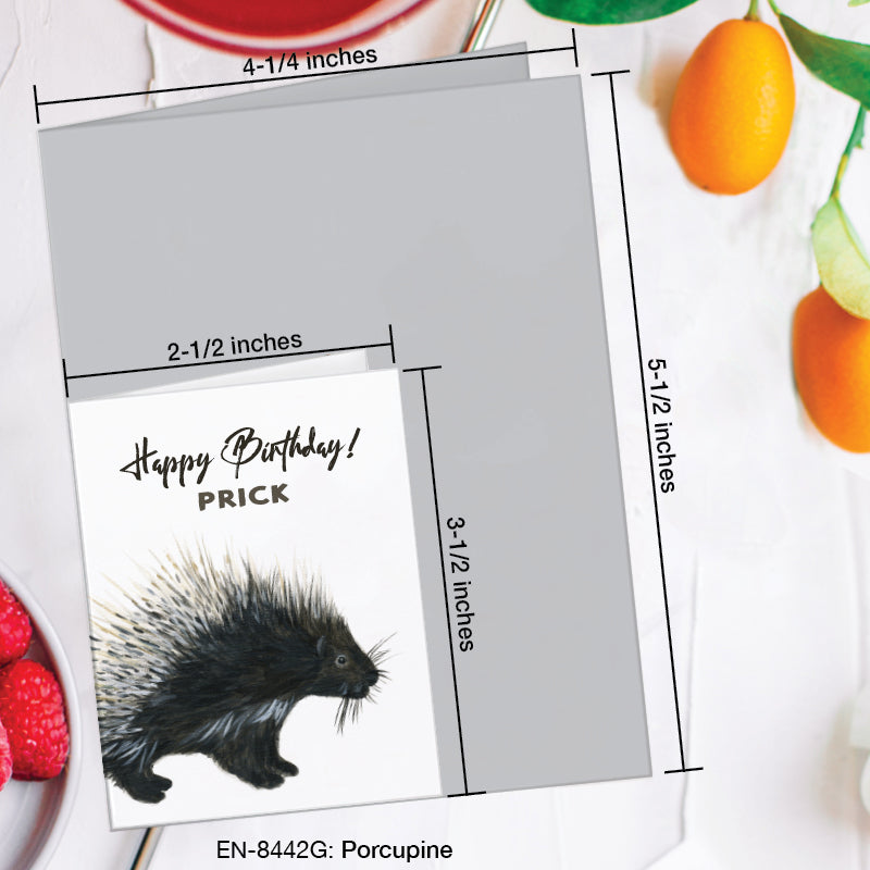 Porcupine, Greeting Card (8442G), Enclosure, www.printedcanvas.com