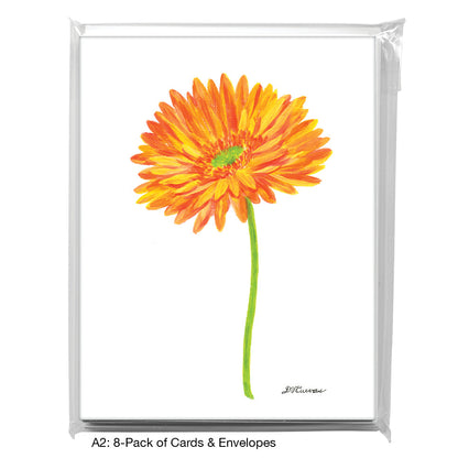 Orange Shades Gerber, Greeting Card (8451A), A2 8-Pack, printedcanvas.com
