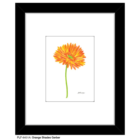 Orange Shades Gerber, Print (#8451A)
