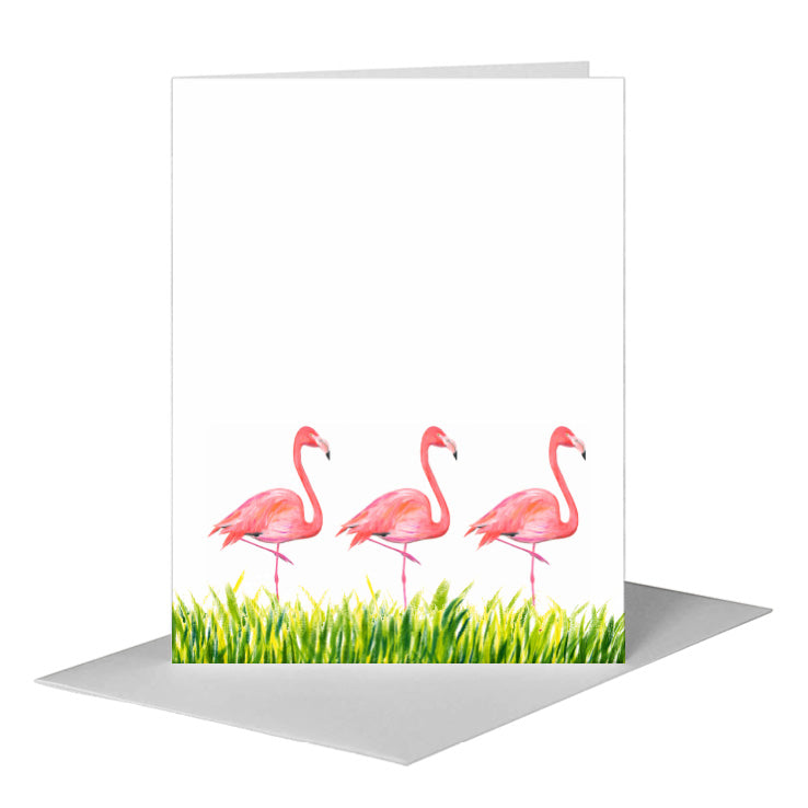 Flamingo, Greeting Card (#8452T), A2 Card Front, www.printedcanvas.com