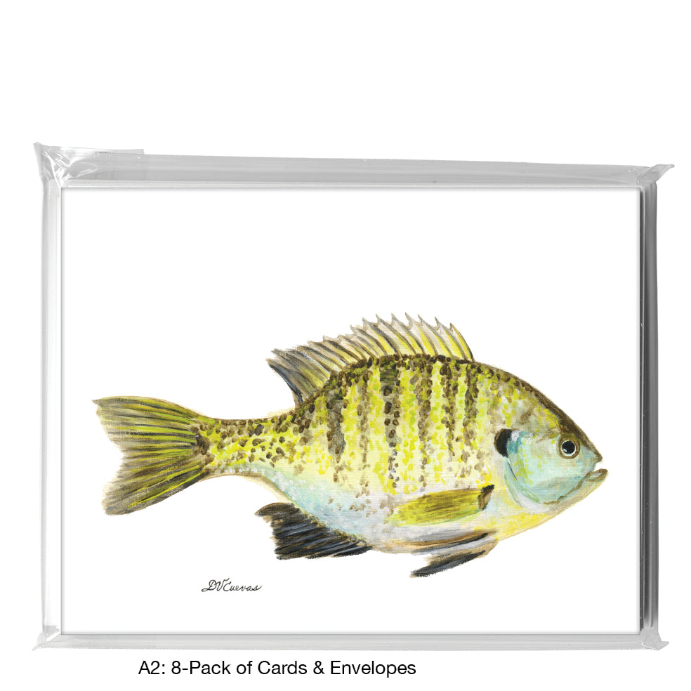 Sunfish, Greeting Card (8454), A2 8-Pack, printedcanvas.com