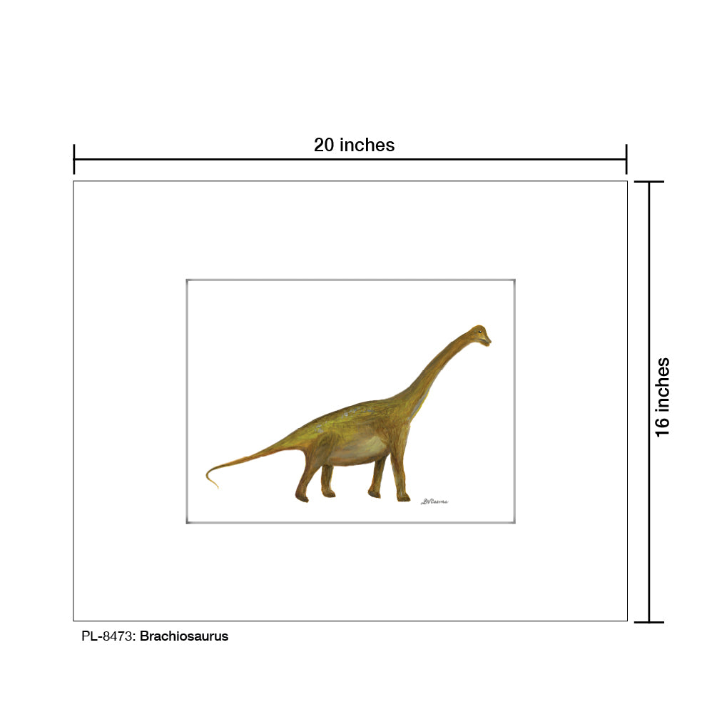 Brachiosaurus, Print (#8473)