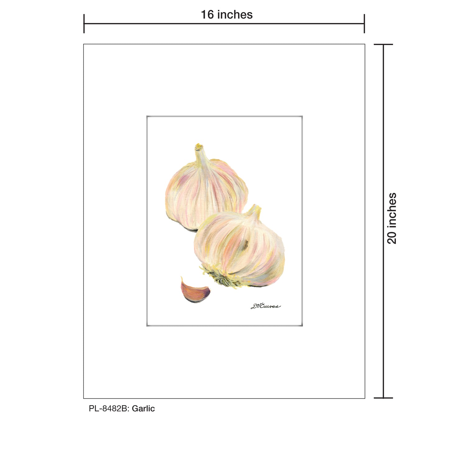 Garlic, Print (#8482B)