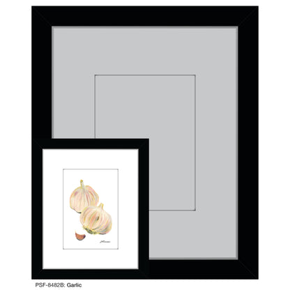 Garlic, Print (#8482B)