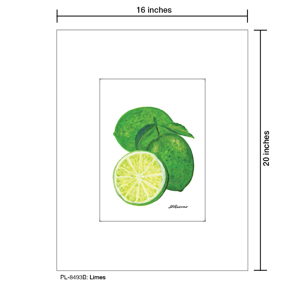 Limes, Print (#8493B)