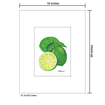 Limes, Print (#8493B)