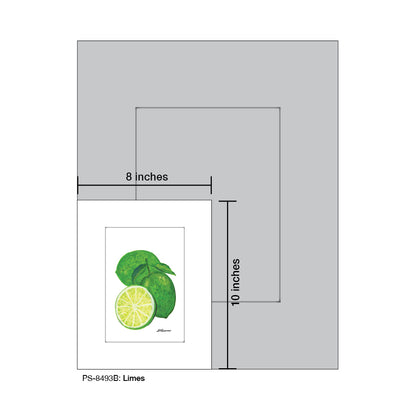 Limes, Print (#8493B)