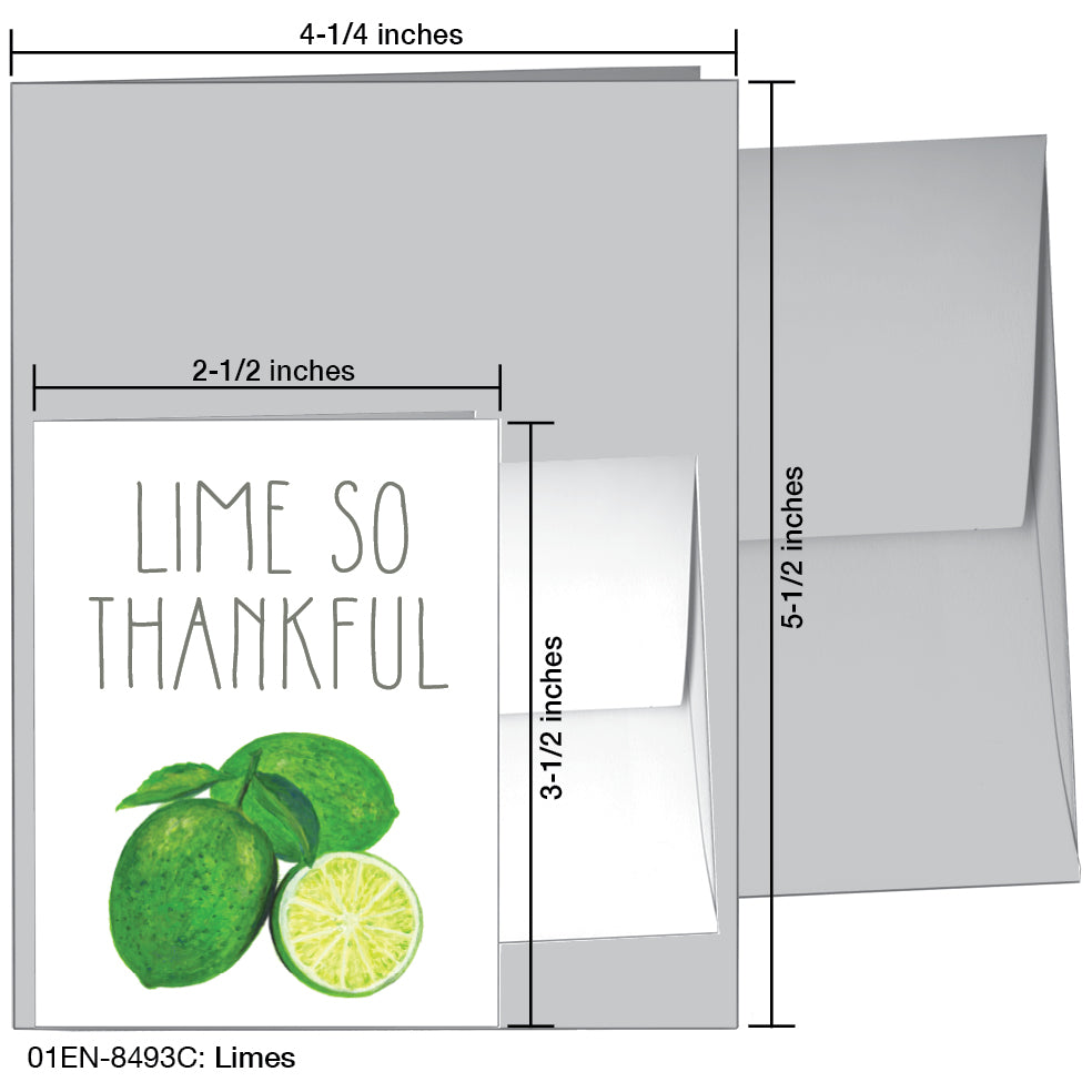 Limes, Greeting Card (8493C), Enclosure, printedcanvas.com