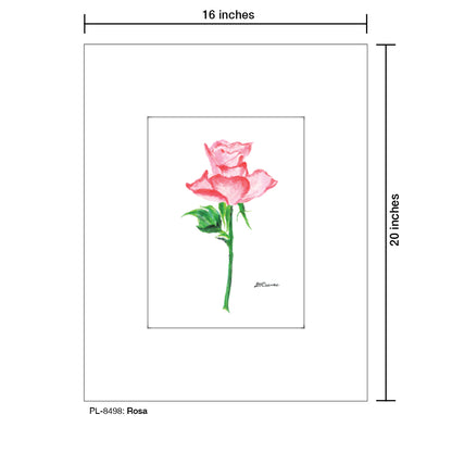 Rosa, Print (#8498)