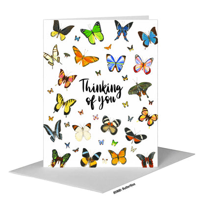 Butterflies, Greeting Card (#8590D)
