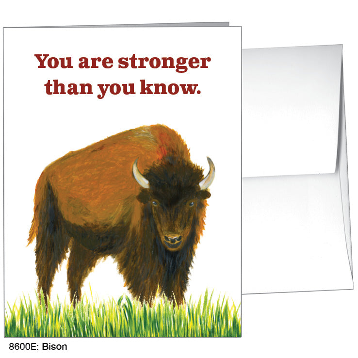 Bison Greeting Card – Printed Canvas
