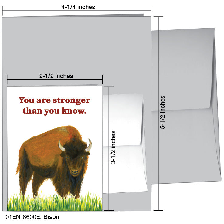 Bison, Greeting Card (8600E), Enclosure, www.printedcanvas.com