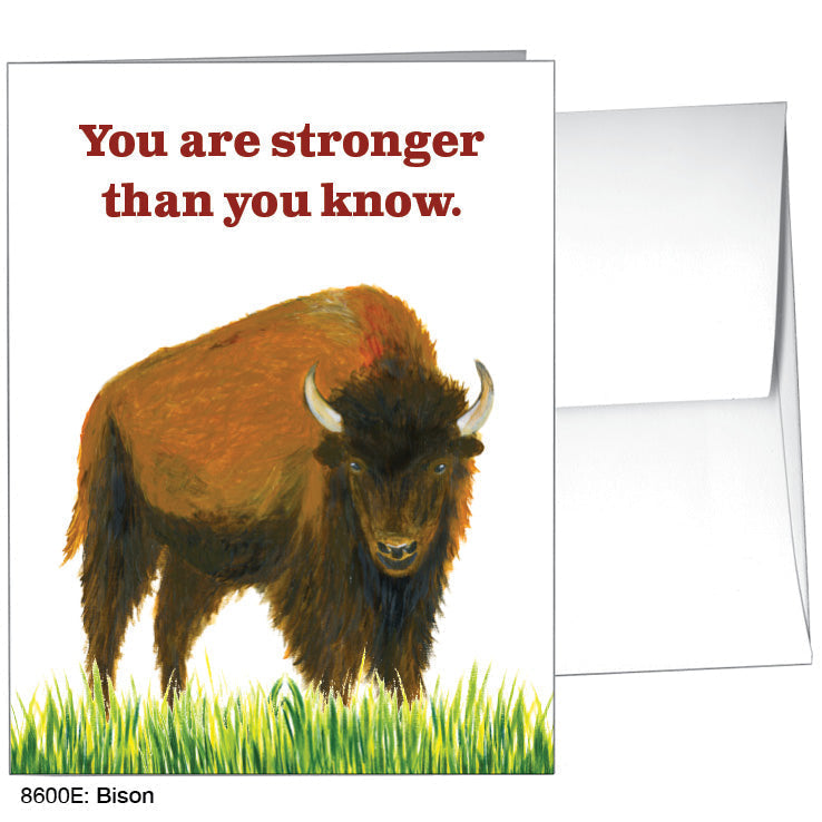 Bison, Greeting Card (8600E), A2 Card, www.printedcanvas.com