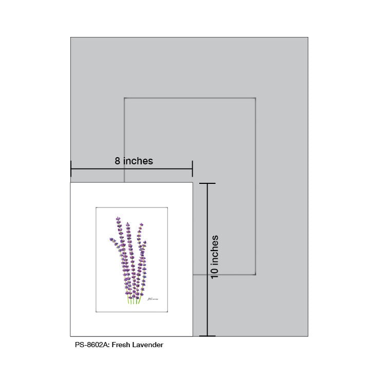 Fresh Lavender, Print (#8602A), Print Matted, www.printedcanvas.com
