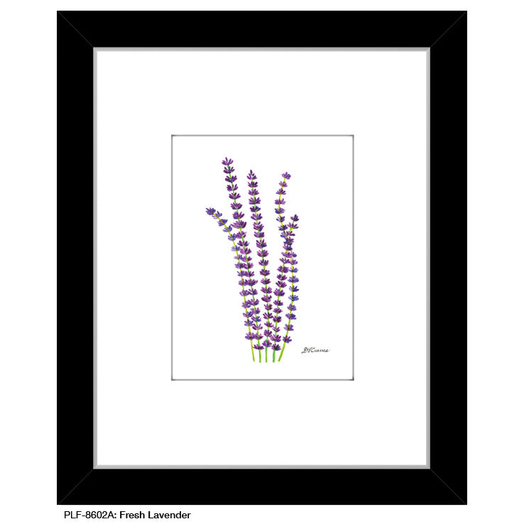 Fresh Lavender, Print (#8602A), Print Matted, www.printedcanvas.com