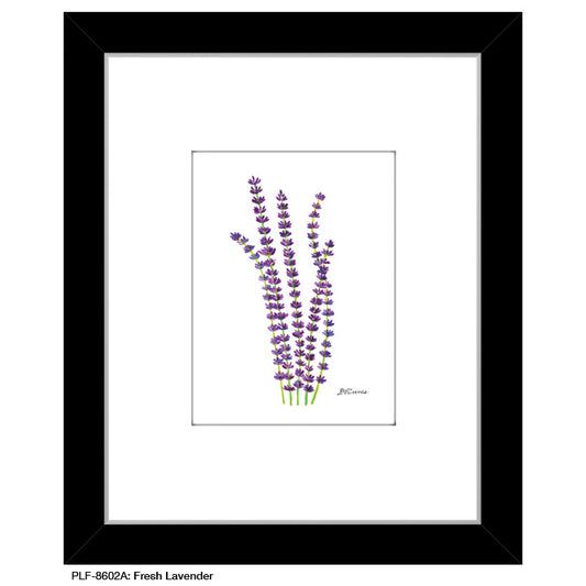 Fresh Lavender, Print (#8602A), Print Matted, www.printedcanvas.com