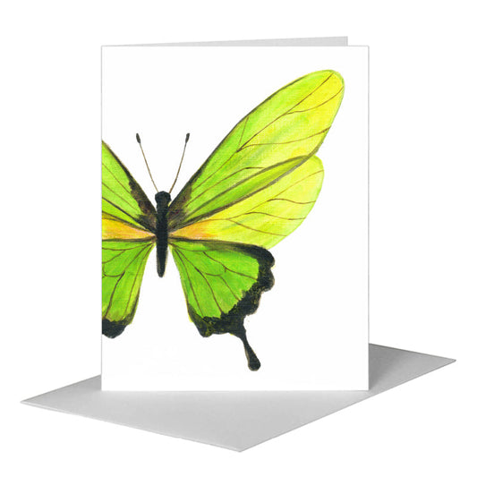 Iridescent Butterfly, Greeting Card (#8673B) A2 Card Front, www.printedcanvas.com