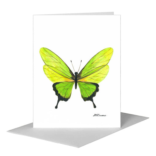 Iridescent Butterfly, Greeting Card (#8673D) A2 Card Front, www.printedcanvas.com