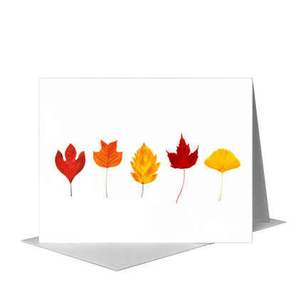 Collage Leaves, Greeting Card (#8699A), A2 Card Front, www.printedcanvas.com