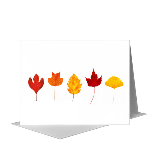 Collage Leaves, Greeting Card (#8699A) A2 Card Front, www.printedcanvas.com
