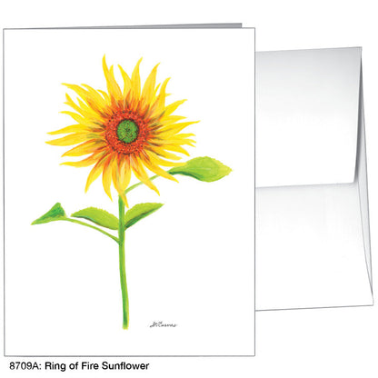 Ring of Fire Sunflower, Greeting Card (8709A), A2 Card, www.printedcanvas.com