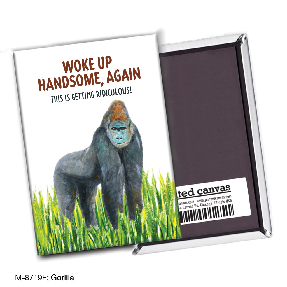 Gorilla, Magnet (M-8719F)