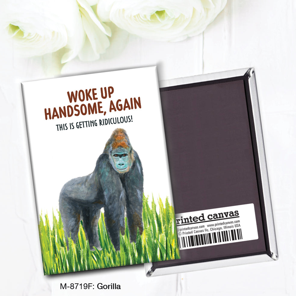 Gorilla, Magnet (M-8719F)