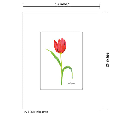 Tulip Single, Print (#8732A)