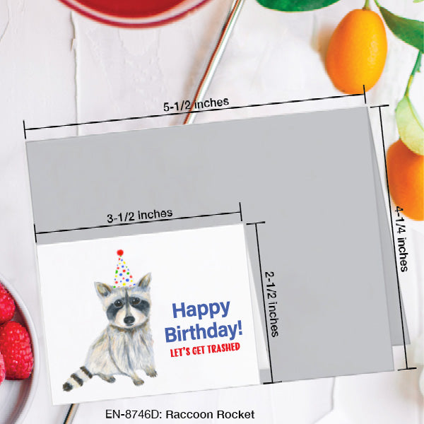 Raccoon Rocket, Greeting Card (8746D), Enclosure, www.printedcanvas.com