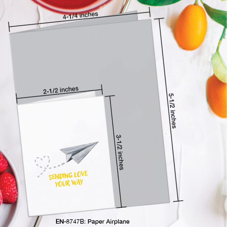 Paper Airplane, Greeting Card (#8747B)