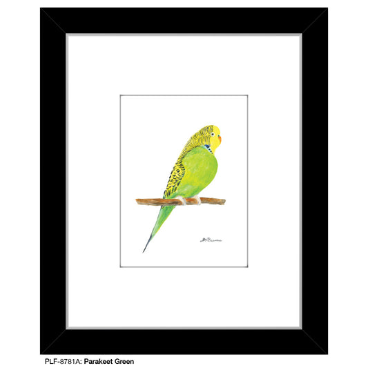 Parakeet Green, Print (#8781A)