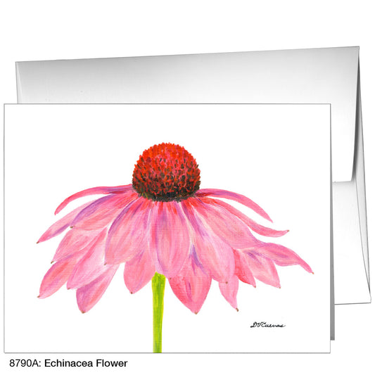 Echinacea Flower, Greeting Card (8790A)
