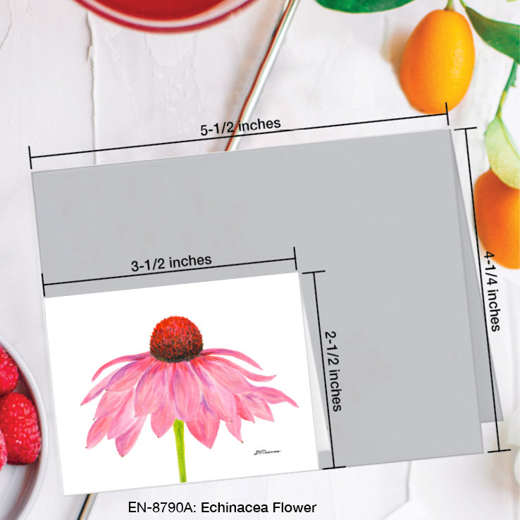 Echinacea Flower, Greeting Card (8790A), Enclosure Card, www.printedcanvas.com